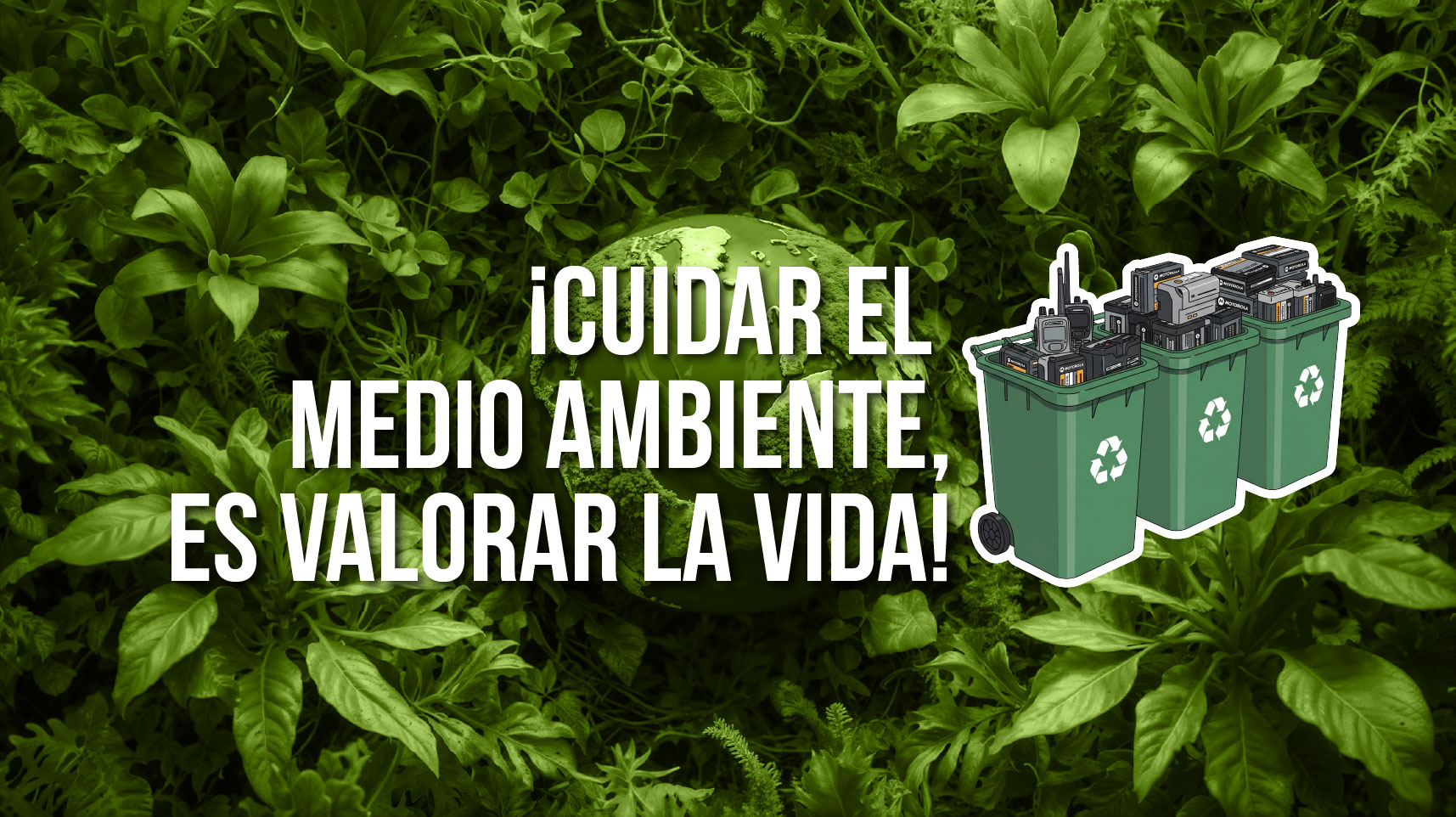 Programa ARBAM ISEC S.A.