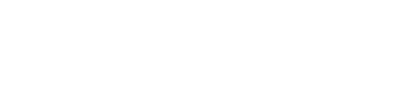 ZYXEL Logo